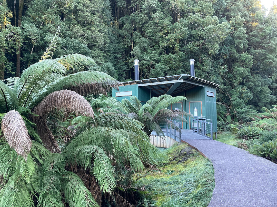 Nelson Falls-皇后镇必去景点