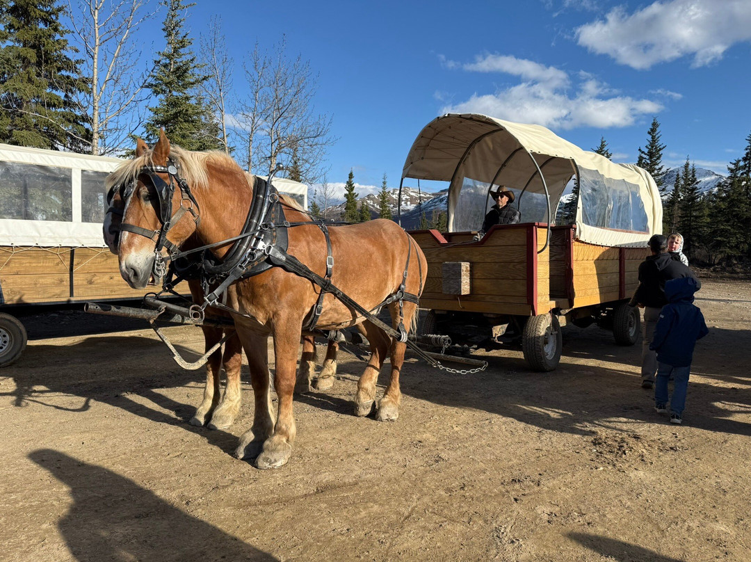 Denali Black Diamond Covered Wagon-Denali Park必去景点