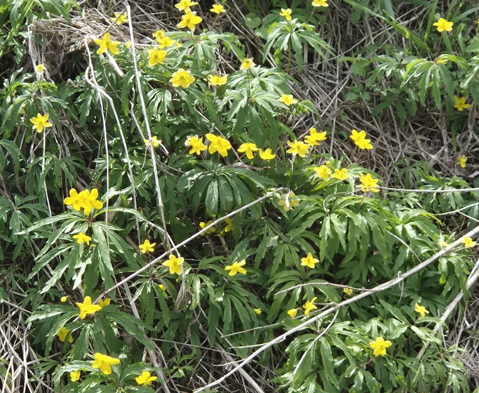 The Historical and Cultural Complex Vyatskoye-Vyatskoye必去景点