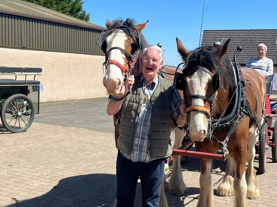 Peggyslea Clydesdales-Penicuik必去景点