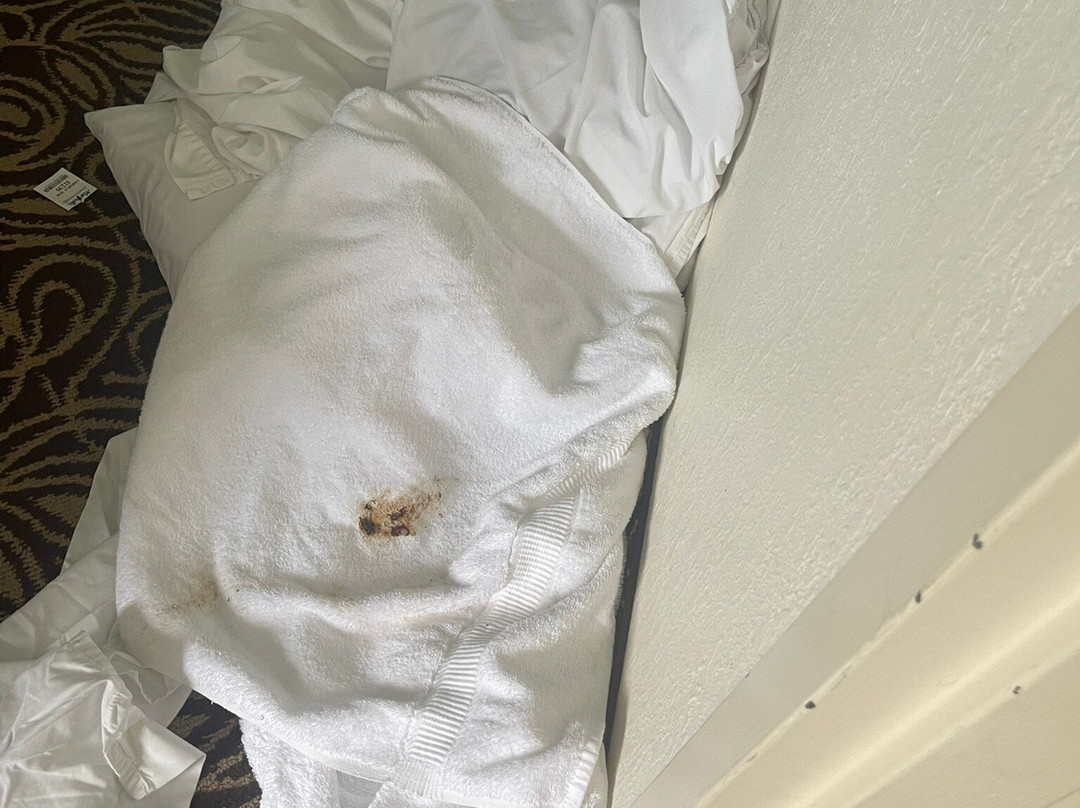 Country Inn & Suites by Radisson, Murrells Inlet, SC主图