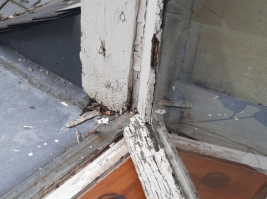 Les Merlettes & Le Merle Moqueur