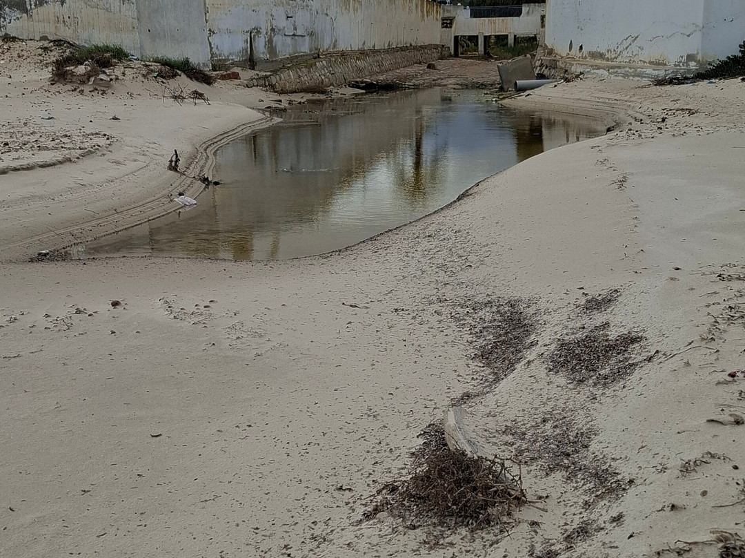 Port El Kantaoui Beach-康大维港必去景点