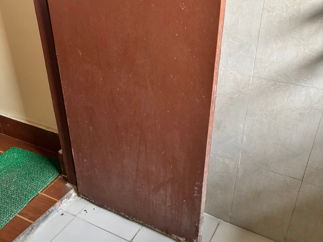 伊甸园丛林度假村主图