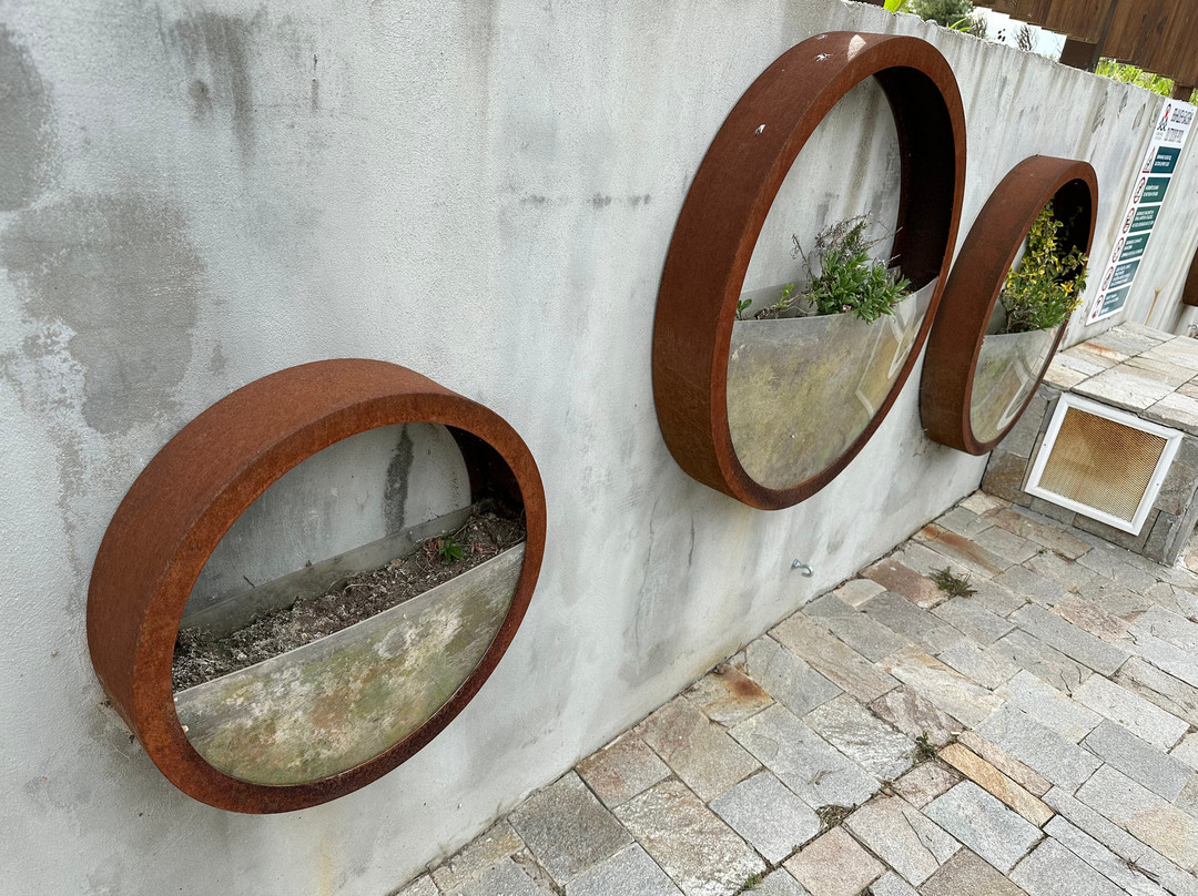 Local Stay By Best Western主图