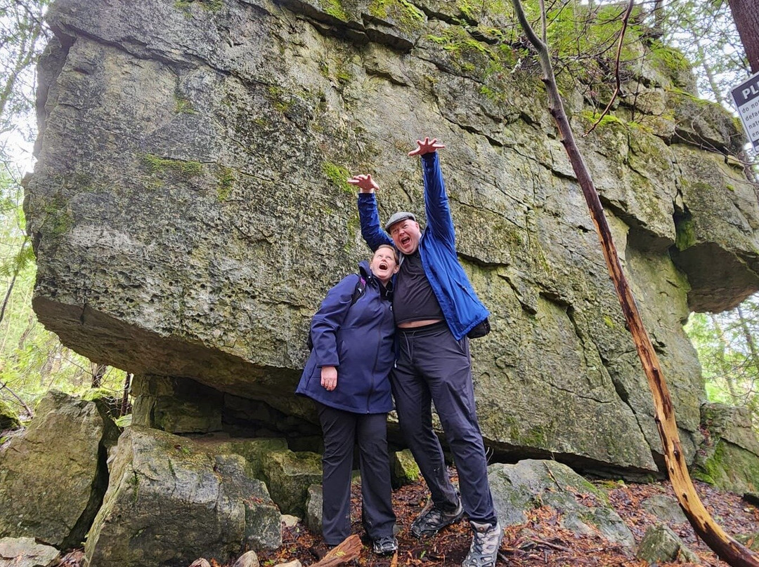 Step it Up Adventures-科林伍德必去景点