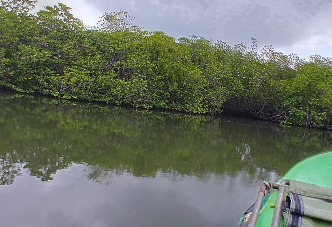 Madu River Safari-巴拉碧提雅必去景点