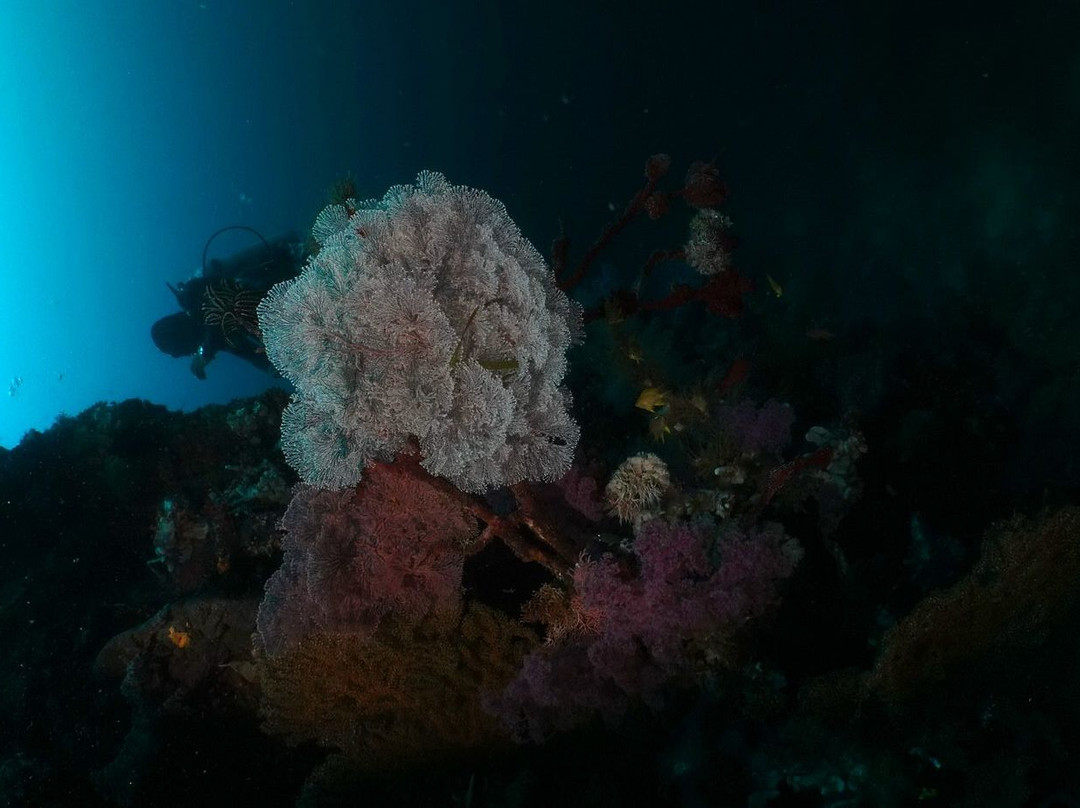 Sea Explorers Cabilao-卡比劳岛必去景点