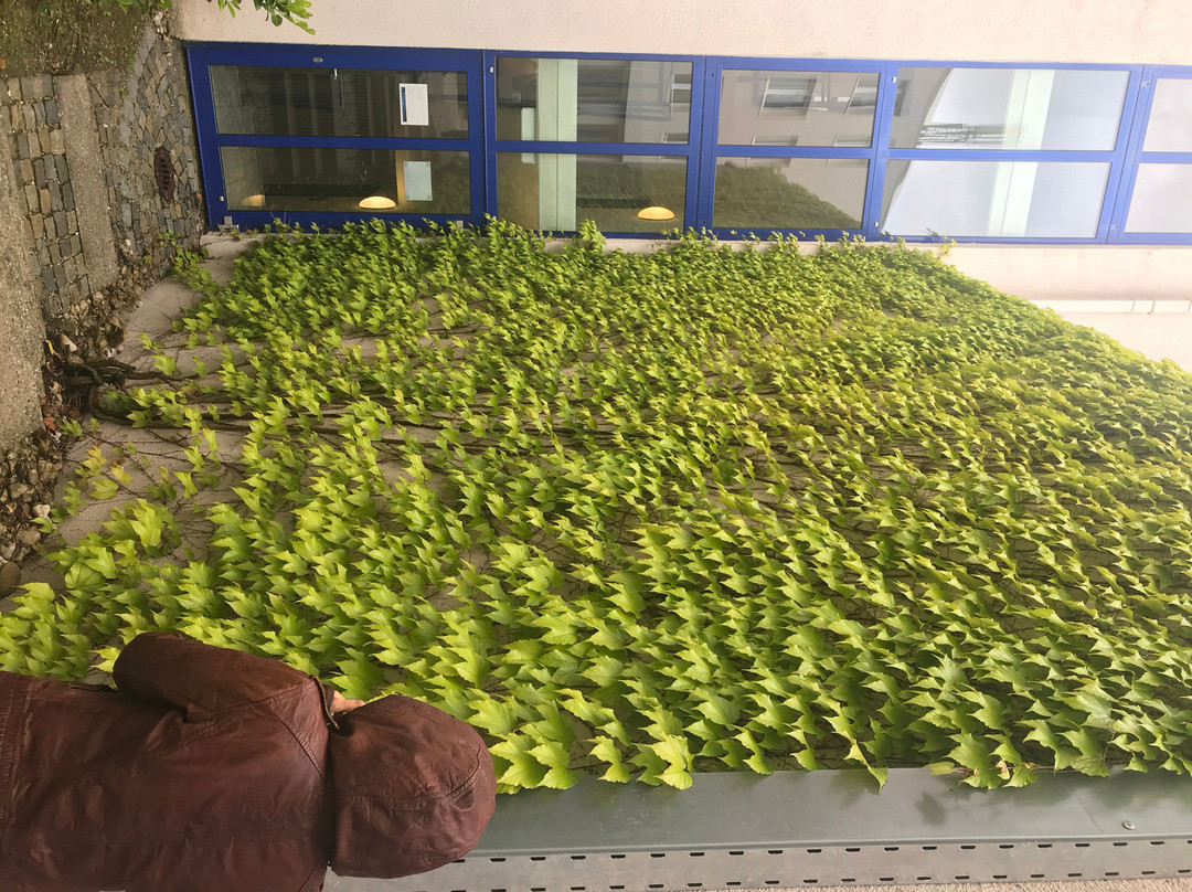 新罕布什尔州慕尼黑机场酒店主图