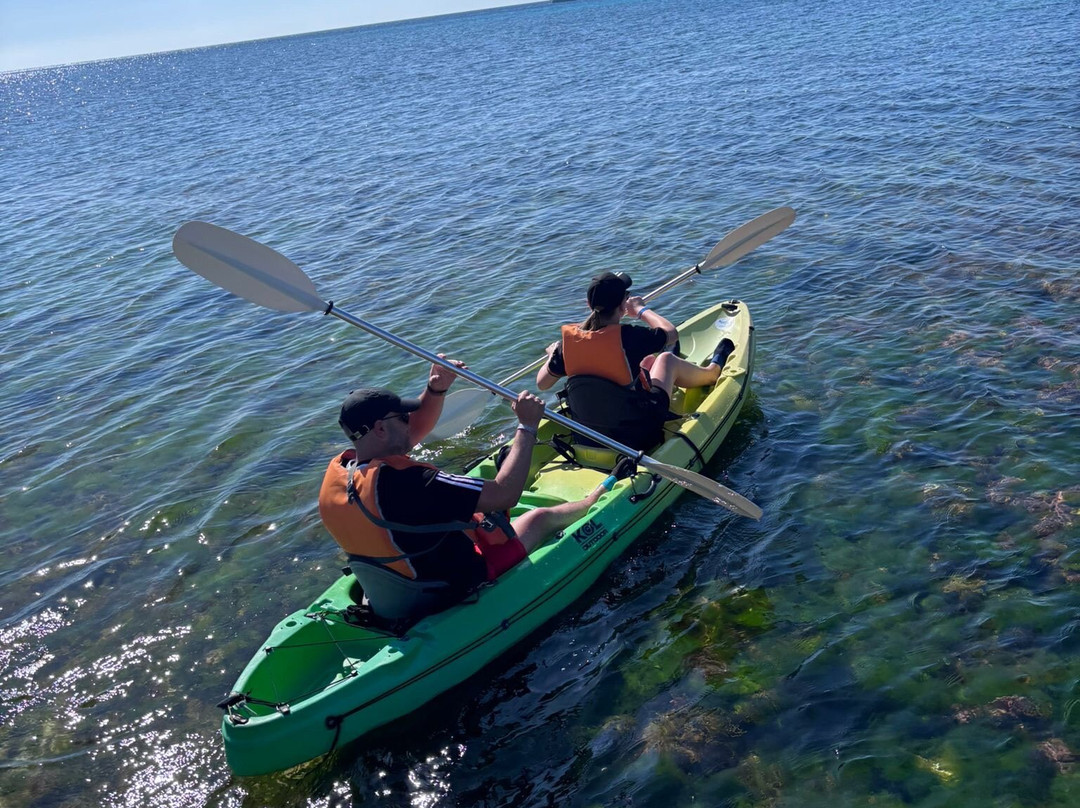 BlackLizzard - Punta Prima Water Sports-Punta Prima必去景点