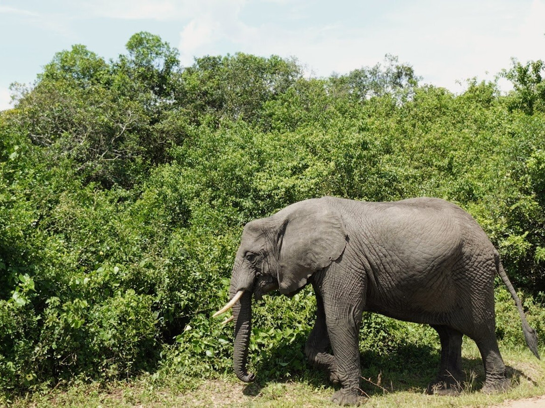 Safari Support Services Limited-卡巴莱必去景点