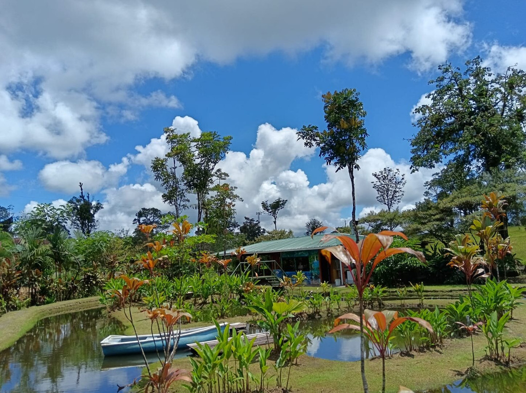 Cabañas Los Laguitos Rio Celeste