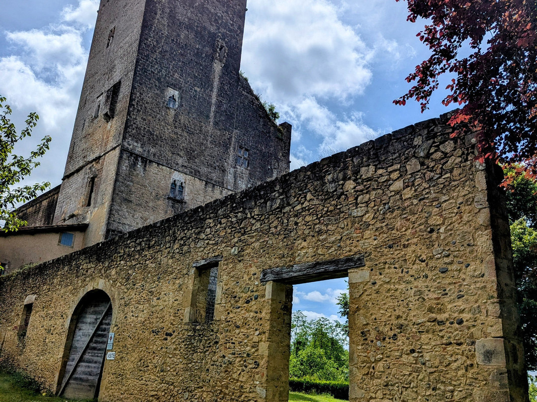 La Cour des Saligues主图