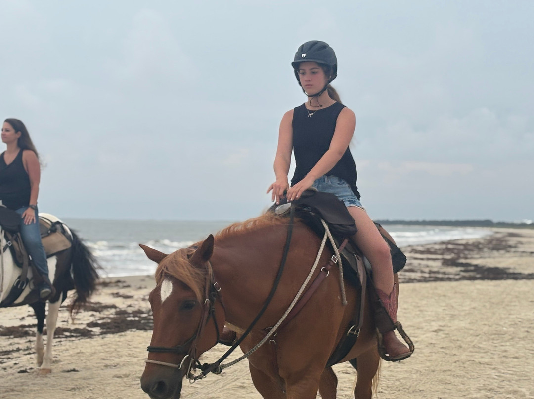 Broke A Toe Horseback Riding on the Beach-Cape San Blas必去景点