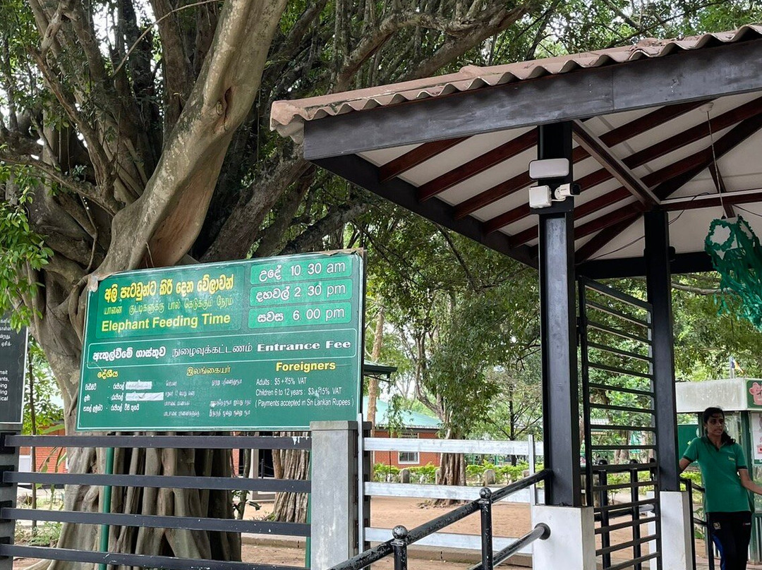 Elephant Transit Home (ETH)景点图片