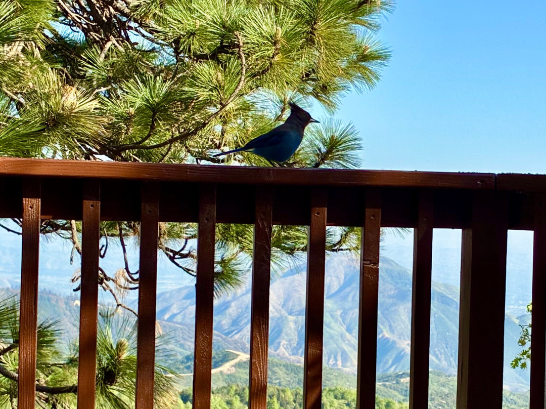 The Sky View Inn主图