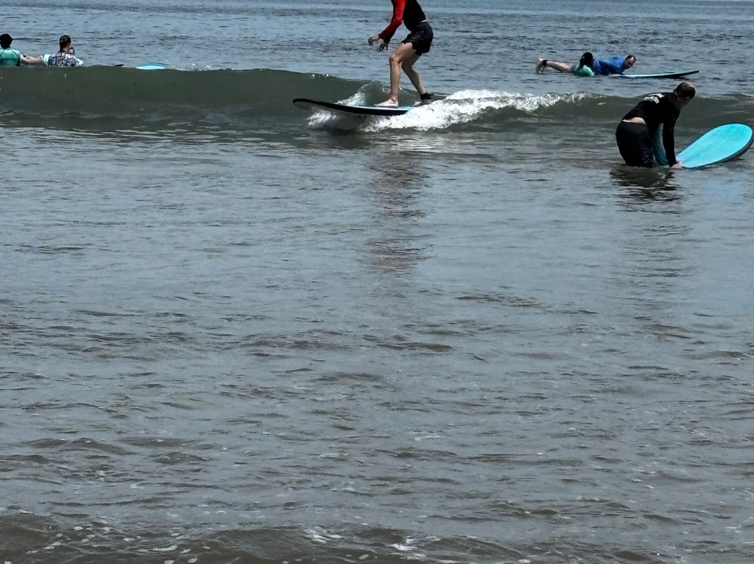 Iguana Surf景点图片