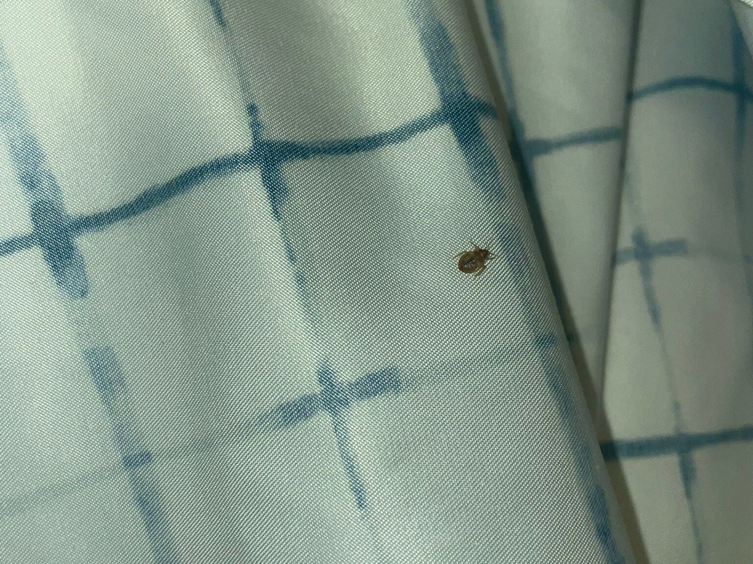 Beachside Boutique Inn主图