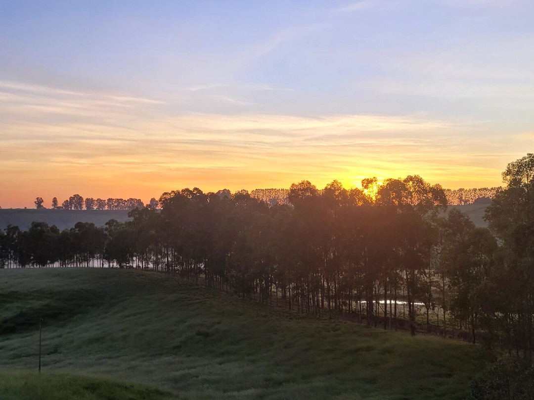 Rocha Palace Hotel主图