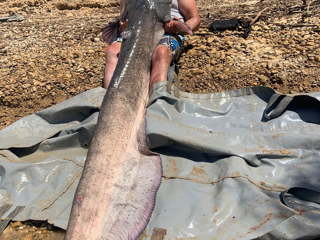 River Ebro Catfishing Holidays景点图片