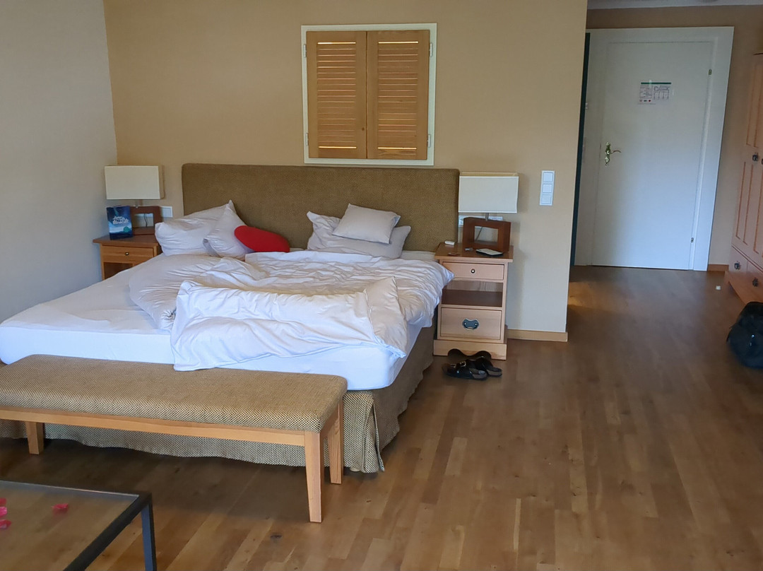 Hotel Gut Schmelmerhof主图