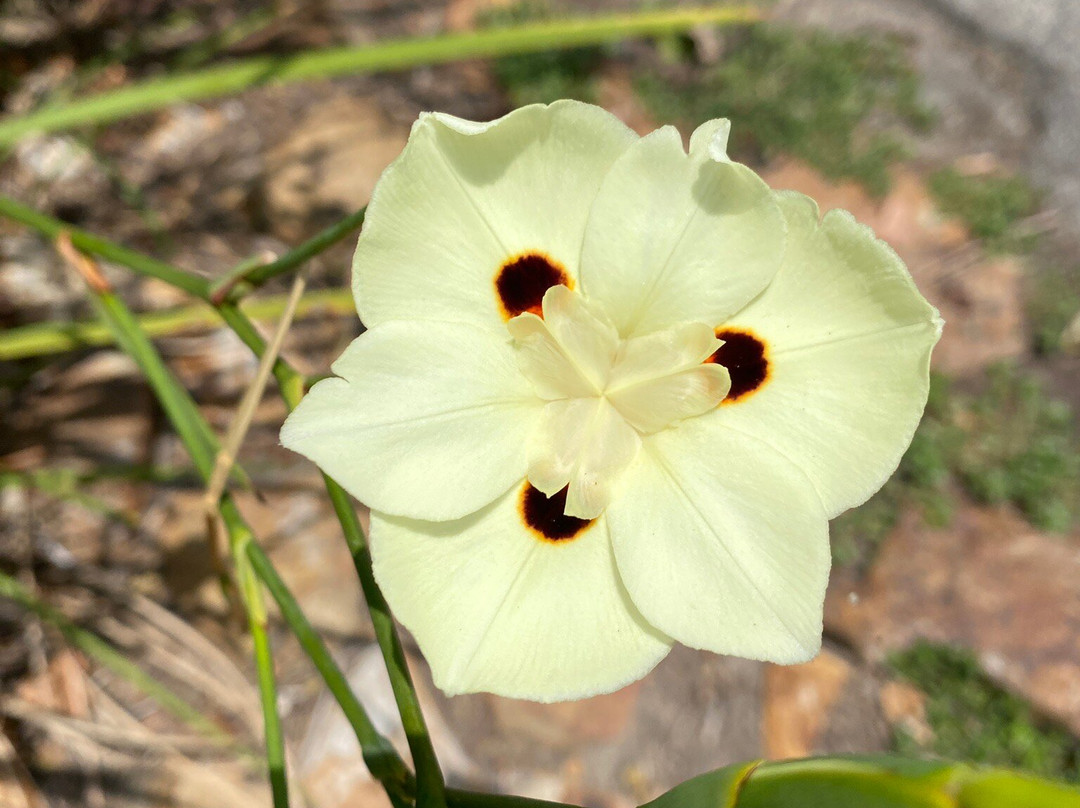 Oso Creek Trail-米逊维耶荷必去景点