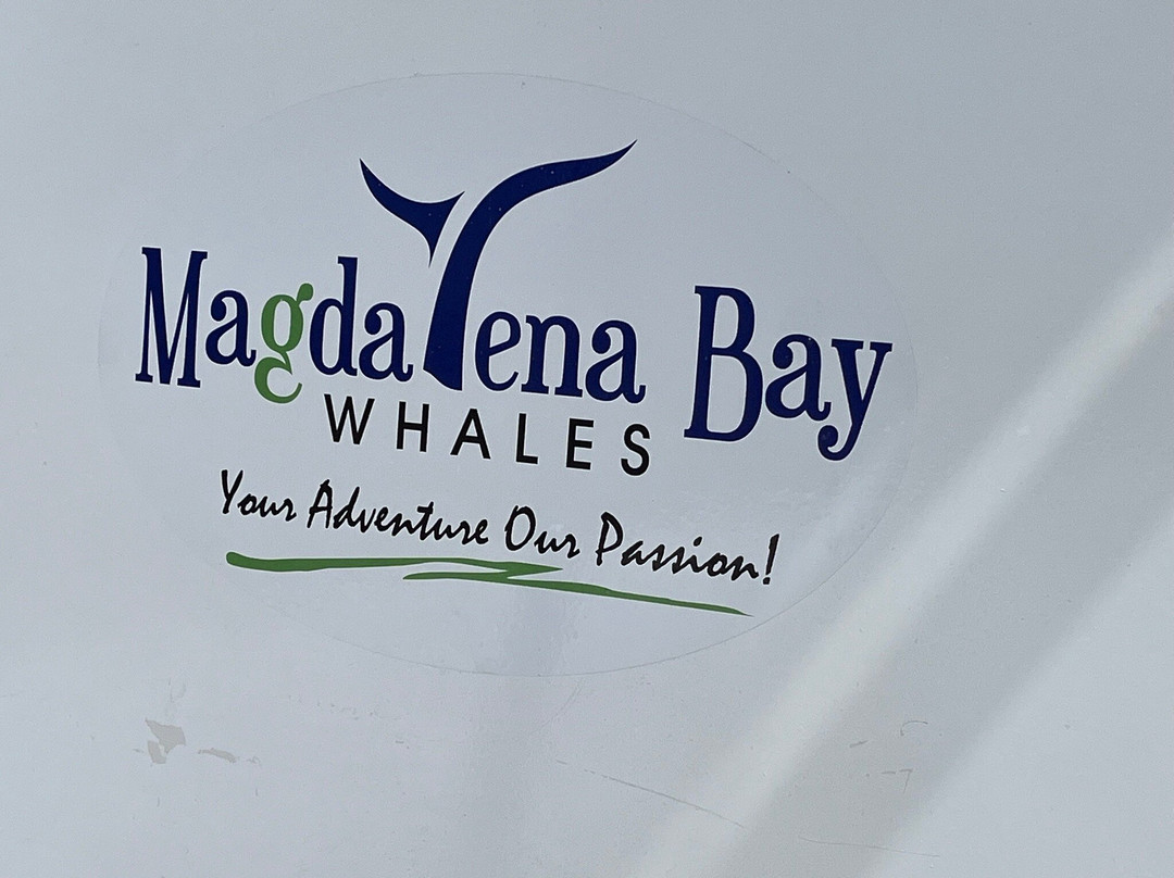 Magdalena Bay Whales-Puerto San Carlos必去景点