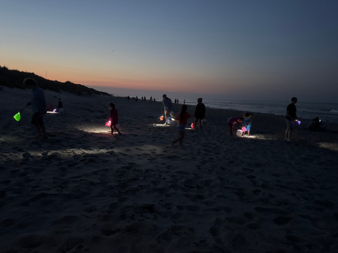 Ghost Crab Quest-Kitty Hawk必去景点