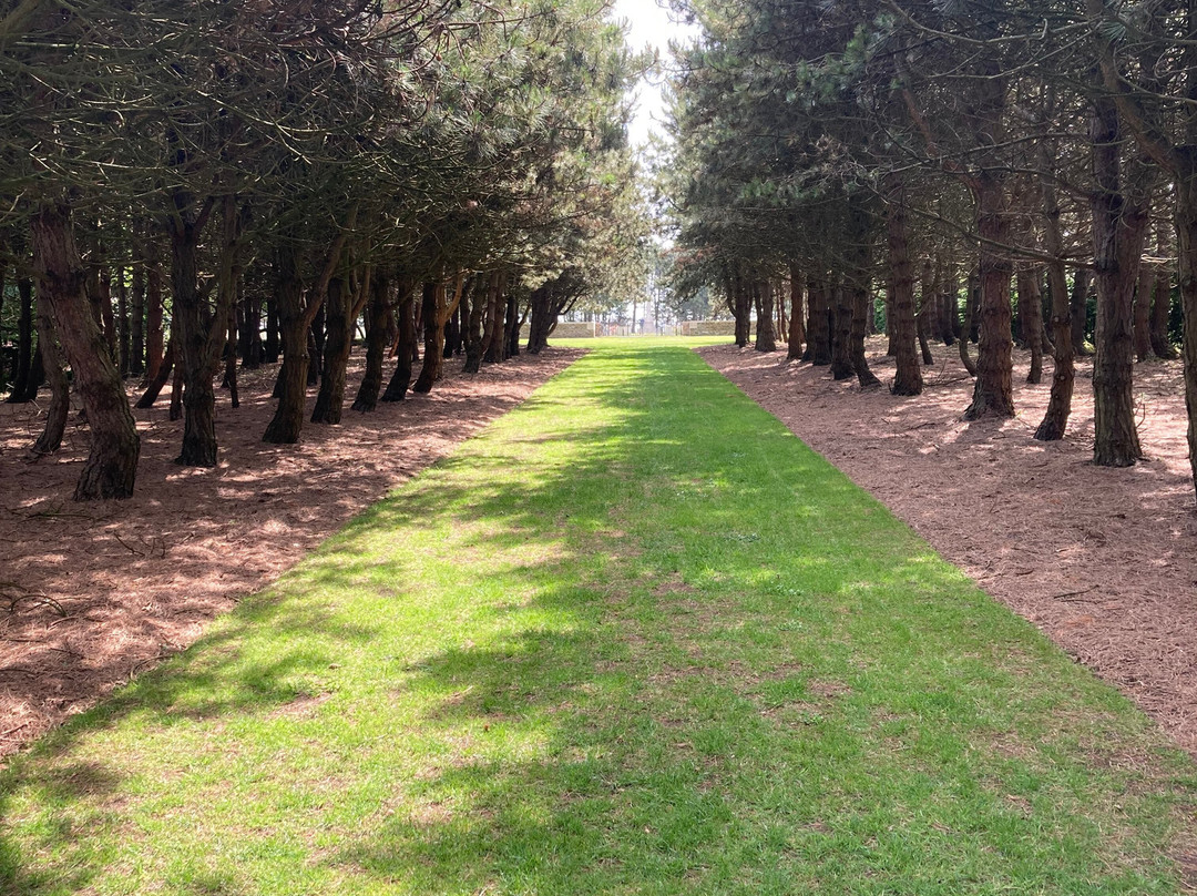 Calais Canadian War Cemetery-Saint-Inglevert必去景点