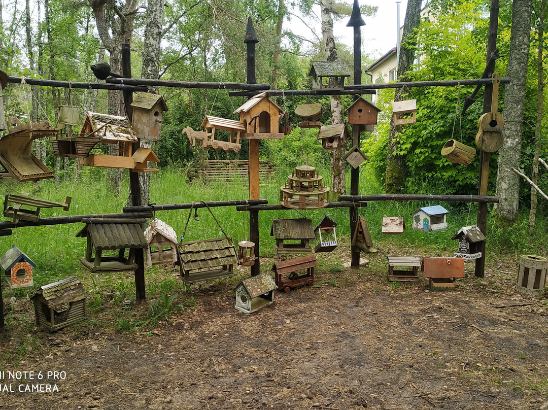 Curonian Spit Museum-Lesnoy必去景点