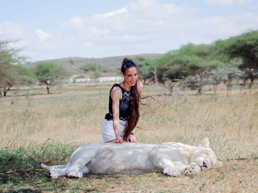 Sote Tours & Travel-莫西必去景点