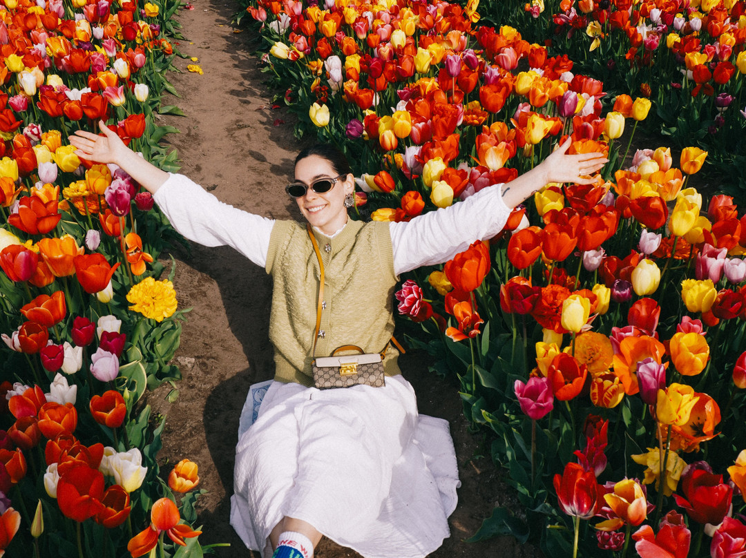 The Tulip Barn-Hillegom必去景点