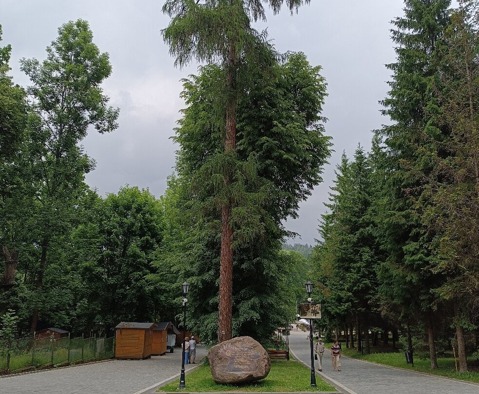 Park Zdrojowy-Rabka-Zdroj必去景点