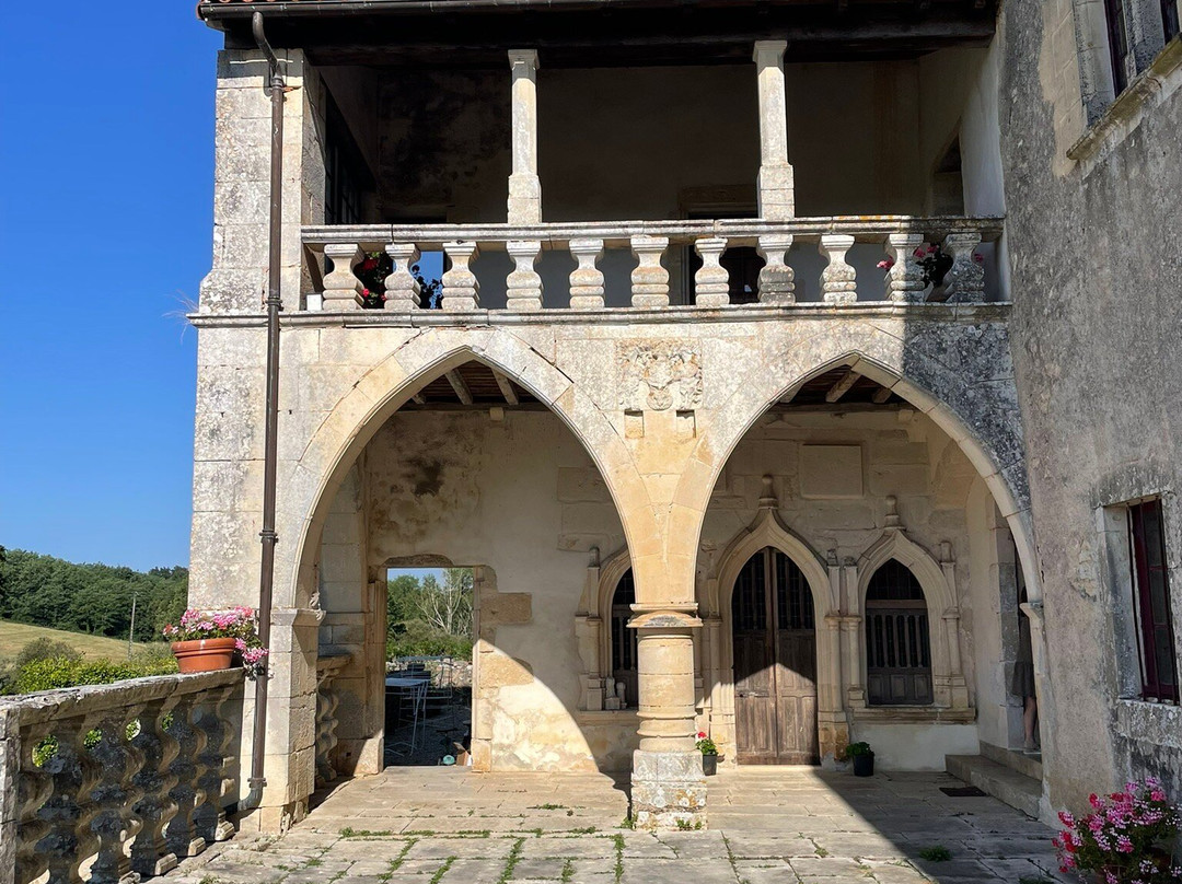 Château De Cibioux主图