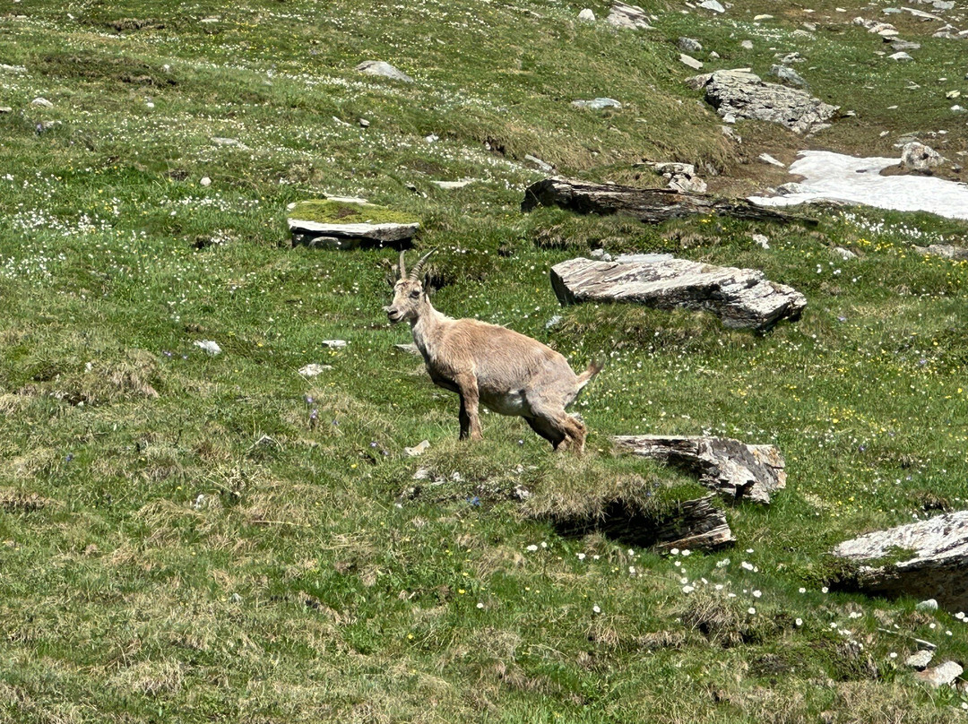 Colle dell'Agnello-Pontechianale必去景点