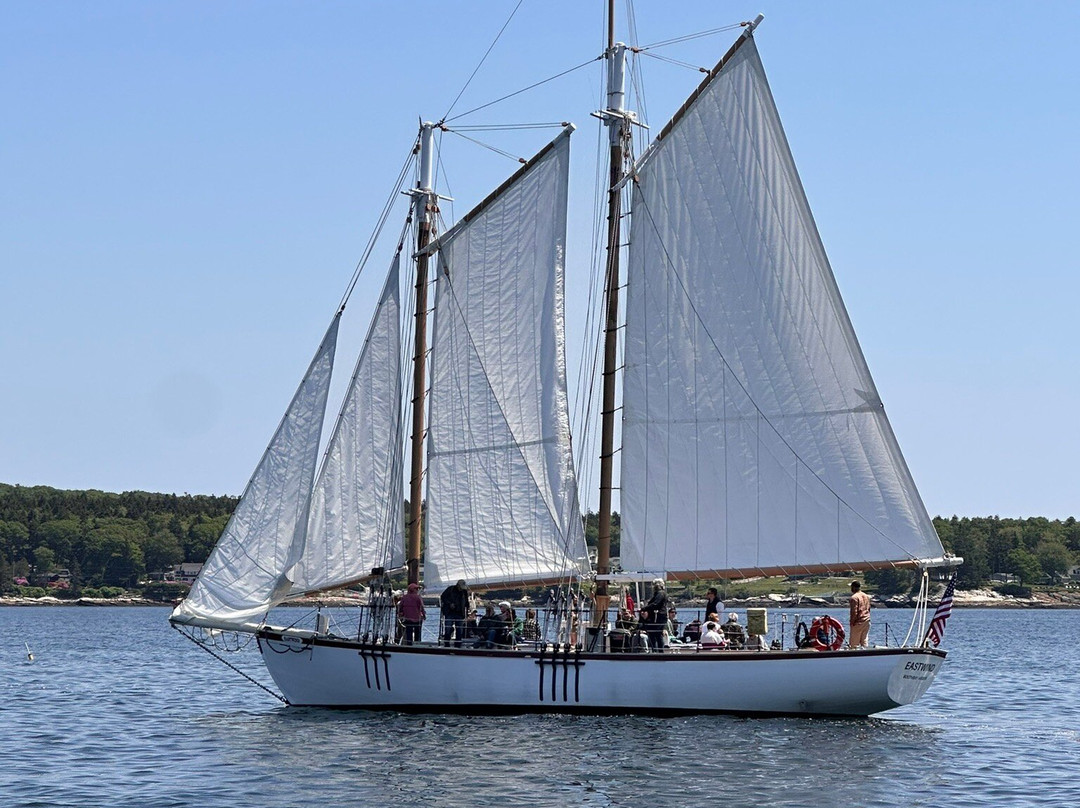 Cabbage Island-布斯贝港必去景点