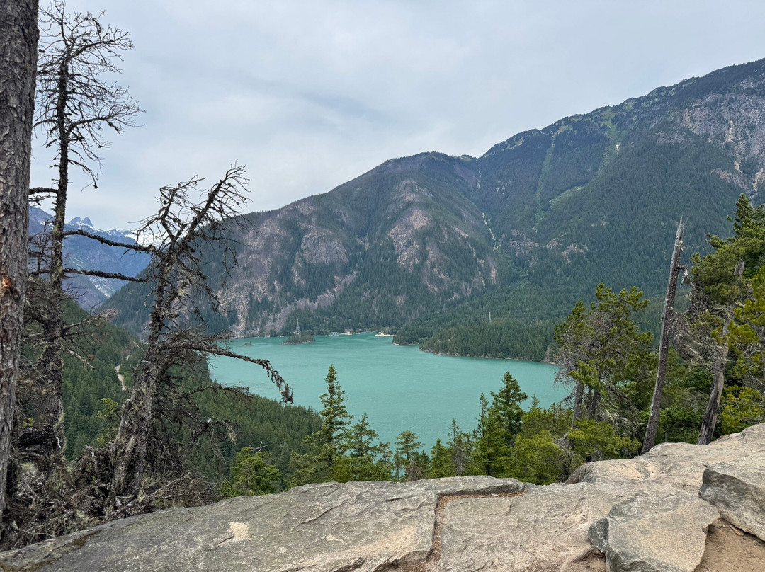 North Cascades National Park景点图片