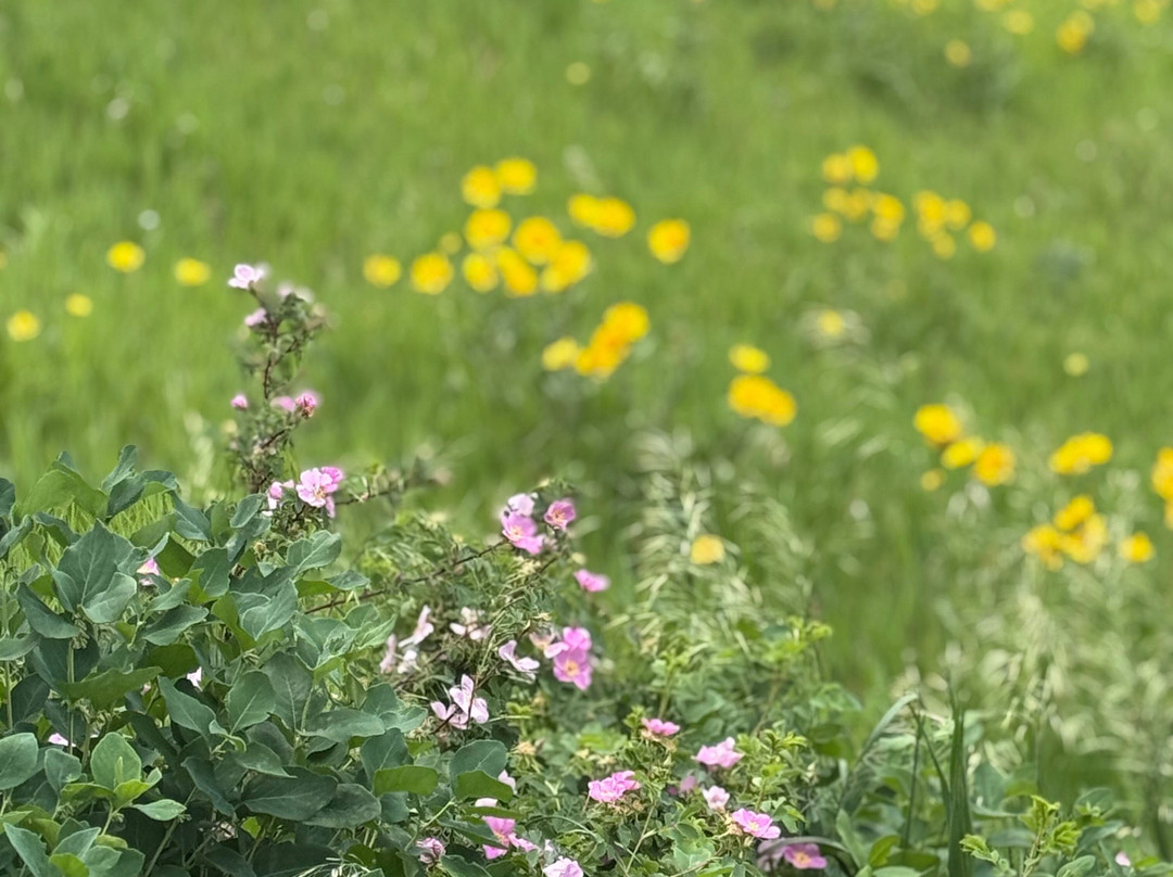 Peets Hill / Burke Park-博兹曼必去景点