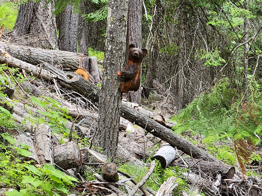 Leavenworth Ziplines-莱文沃思必去景点