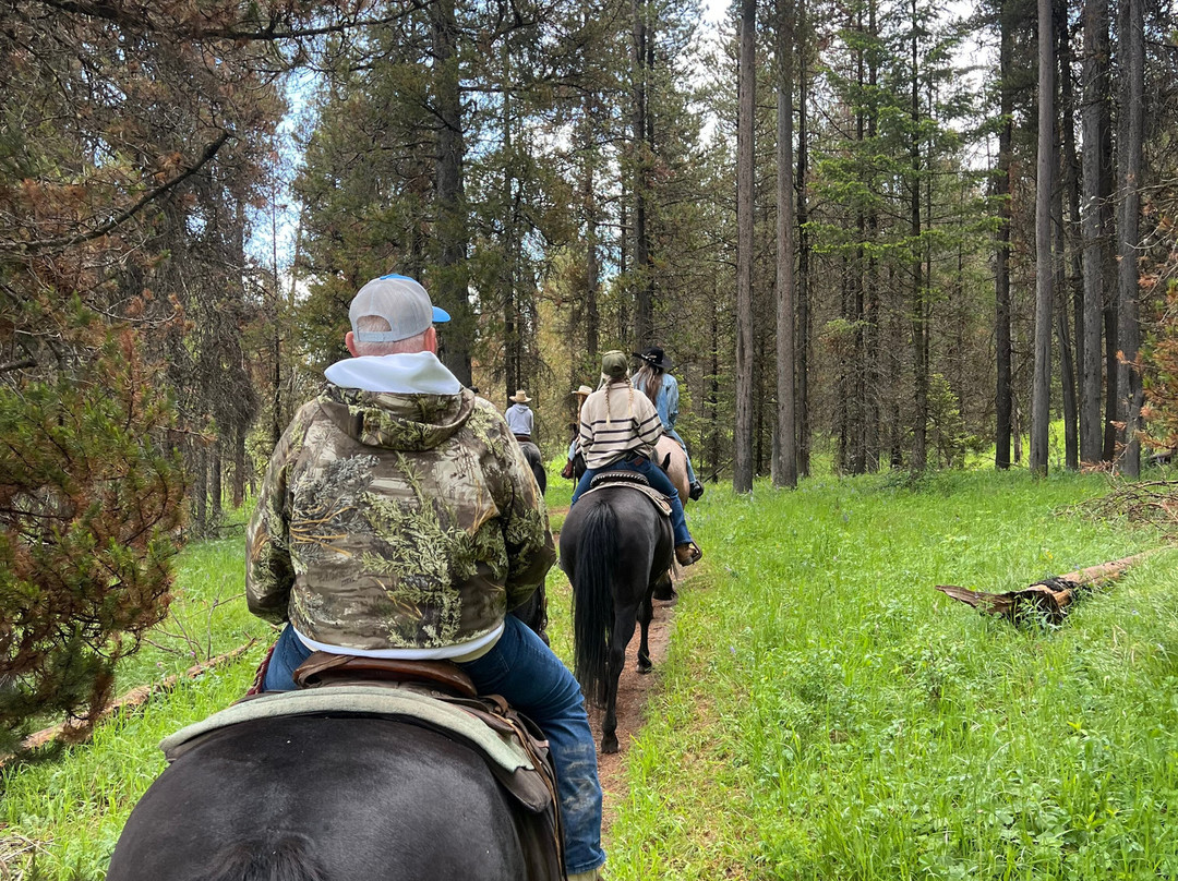 Dry Ridge Outfitters-艾兰帕克必去景点