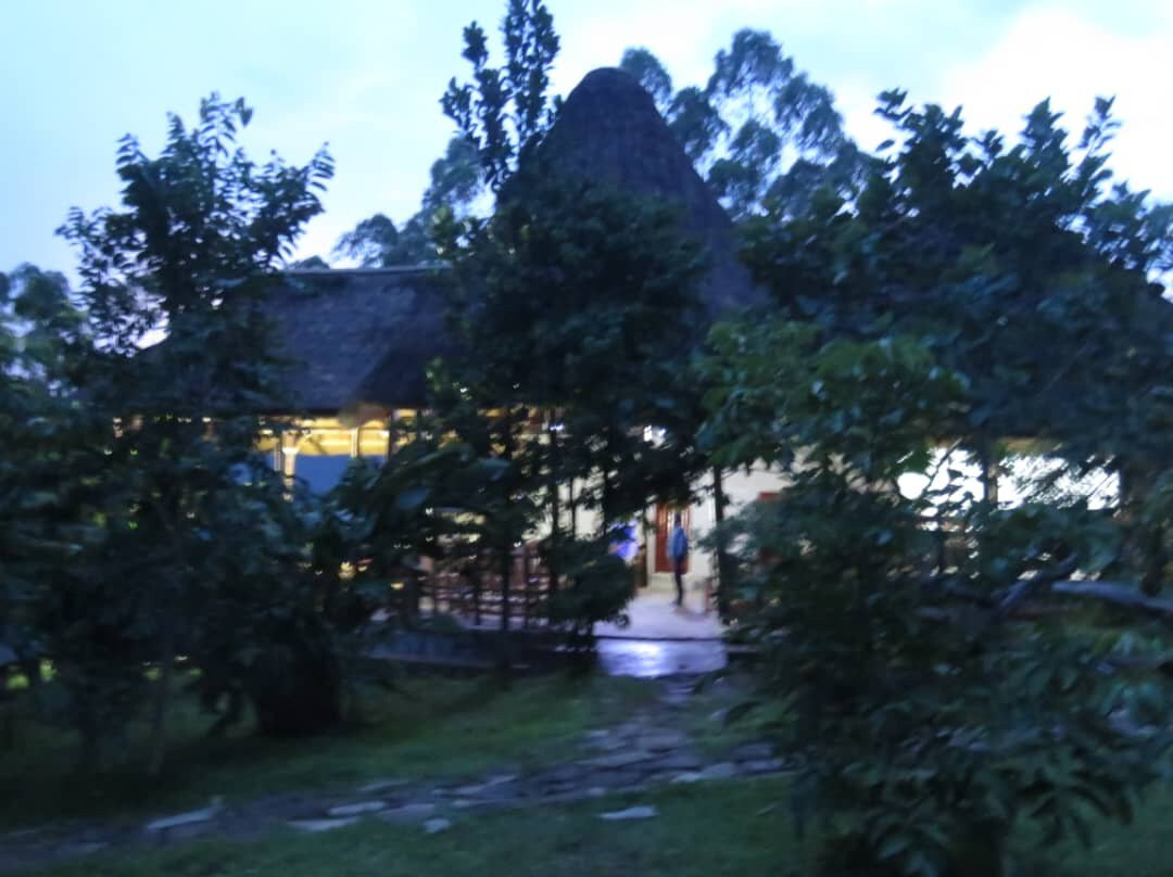 Chimpanzee Capital Safari Lodge