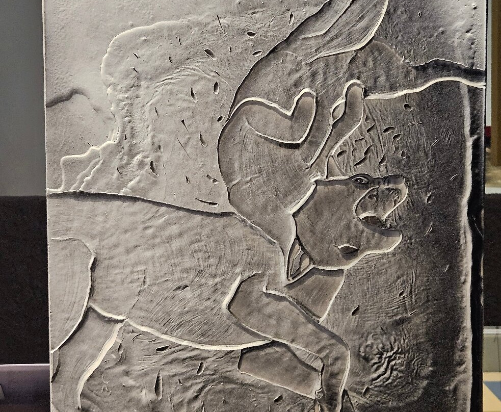 Museu Paranaense-库里提巴必去景点