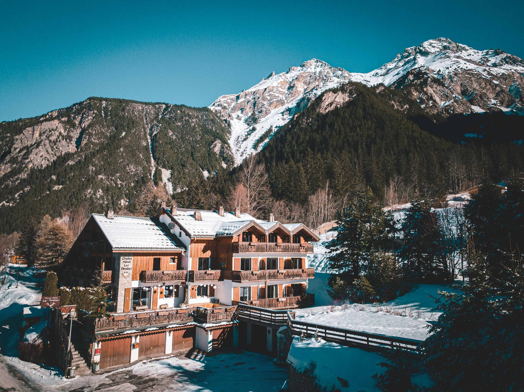 Pralognan-la-Vanoise酒店住宿-Chalet-Hôtel Les Airelles