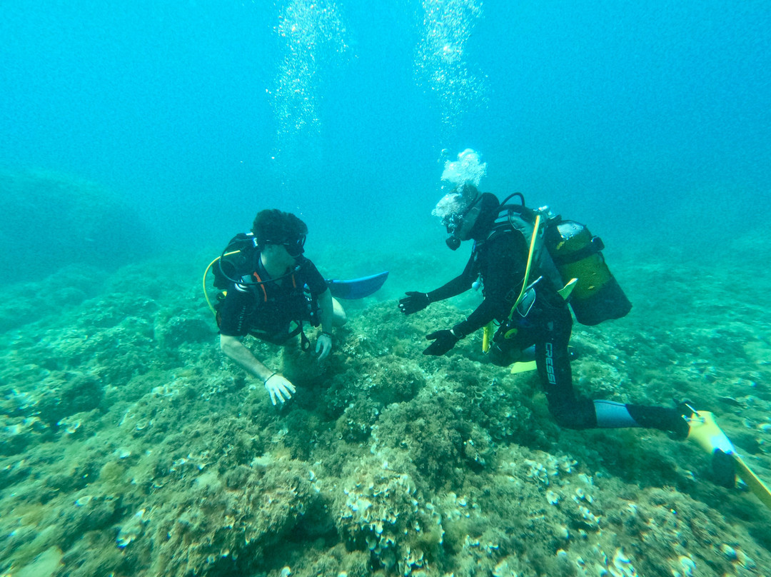 Mardays Dive & Water Experience-哈韦阿必去景点
