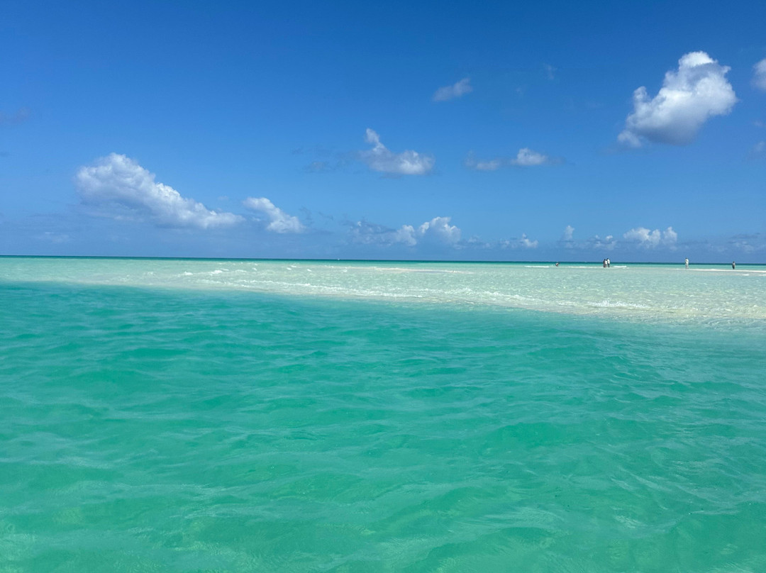 Okeanos Charters-格雷斯湾必去景点
