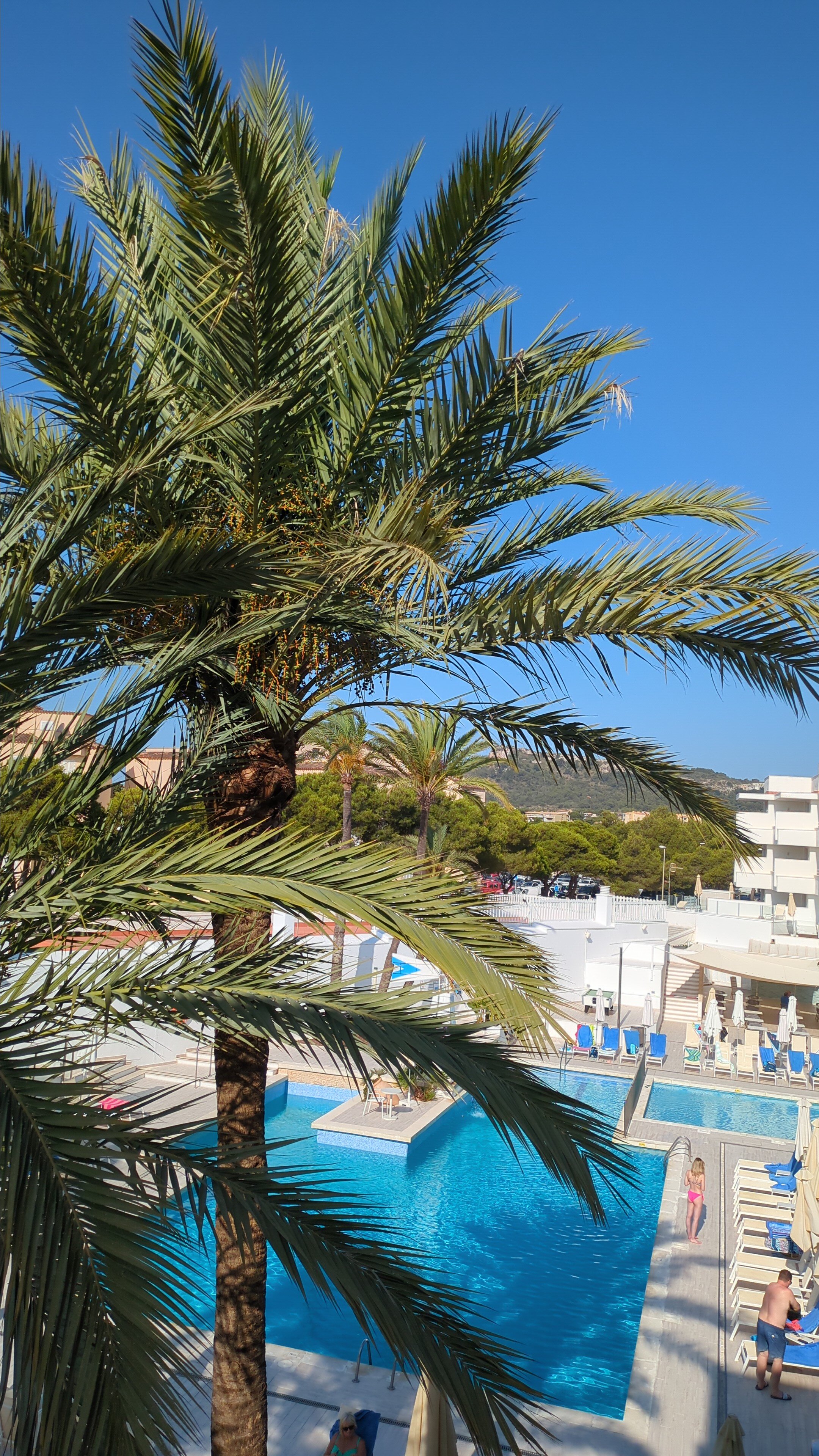 Globales Cala Bona-官方