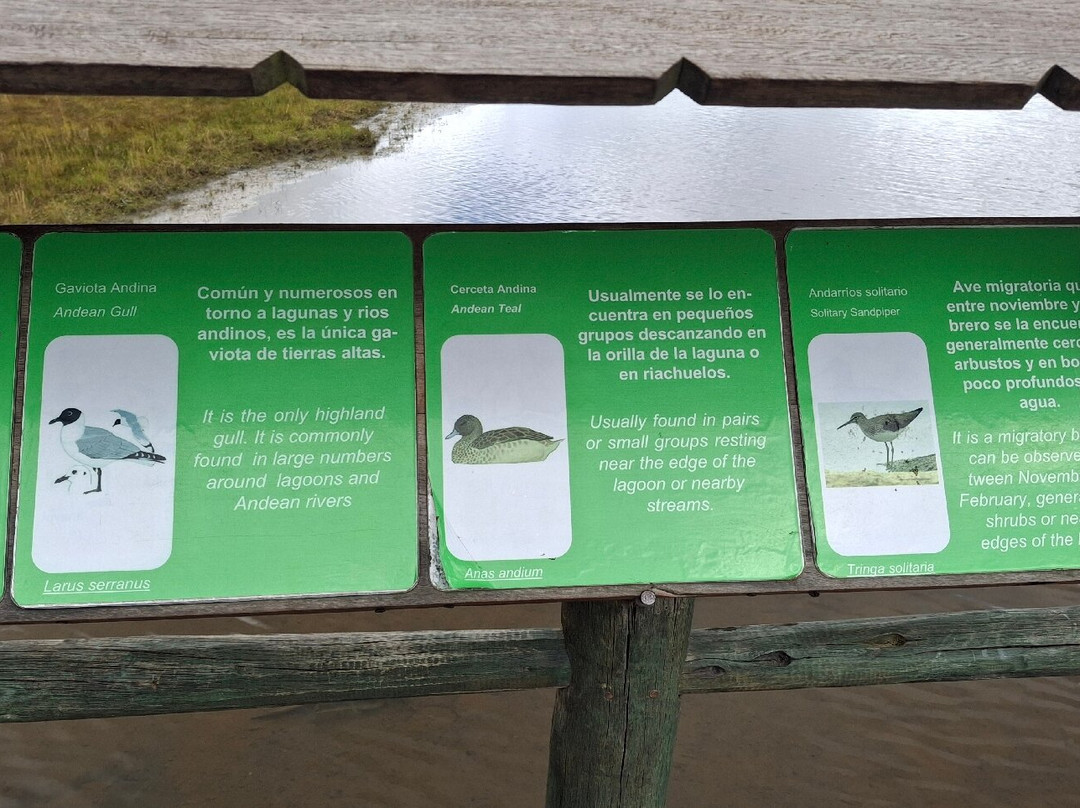 Laguna de Limpiopungo-拉塔昆加必去景点