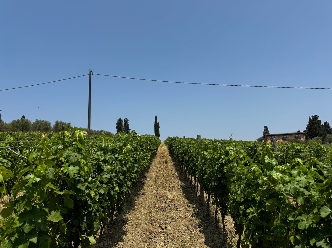 Fabrizio Pratesi Winery