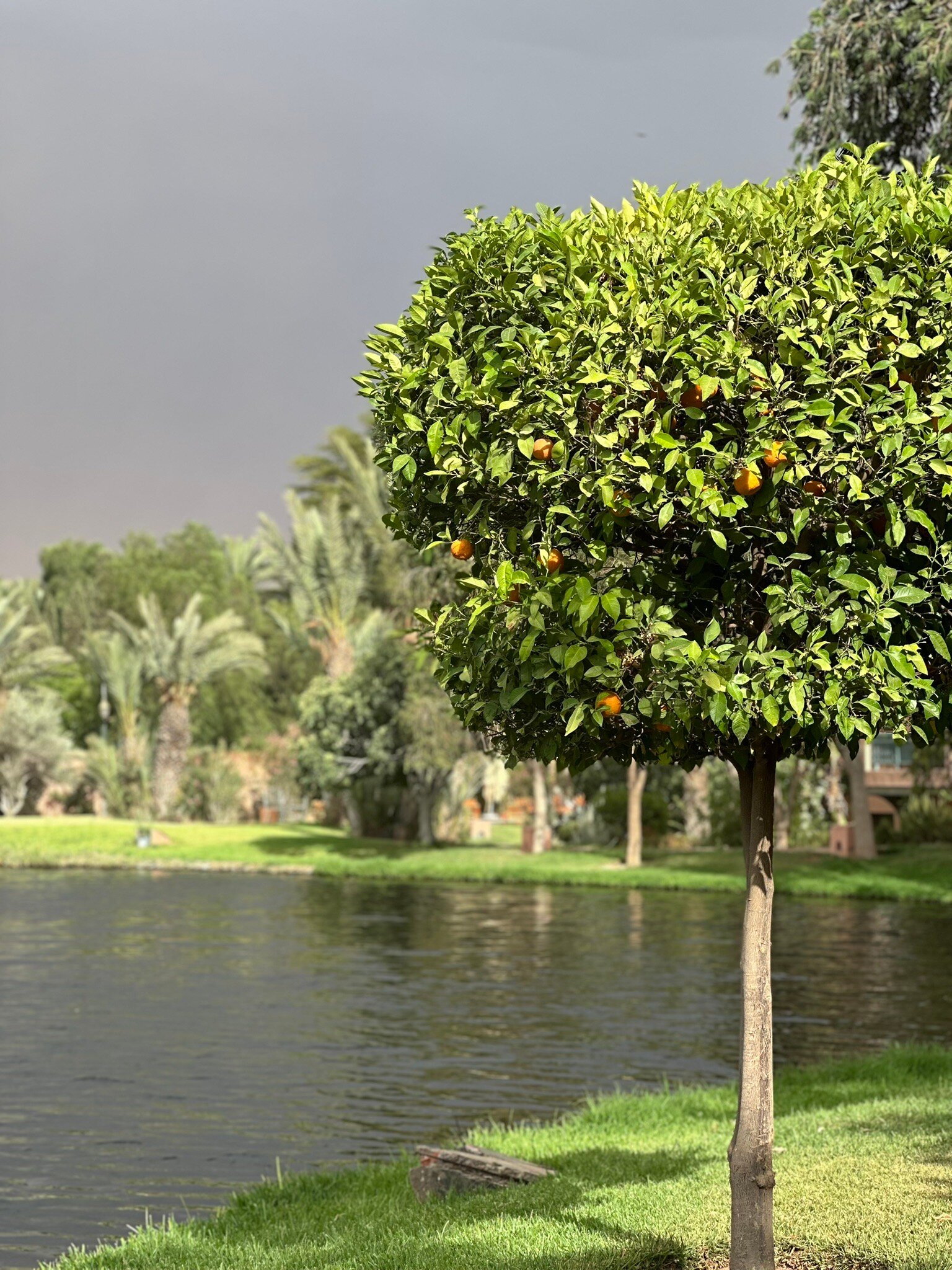 Le Pavillon Du Golf-官方