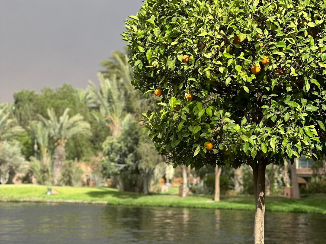 Le Pavillon Du Golf主图